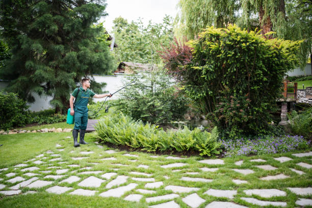Best Cockroach Control Services  in Wenonah, NJ