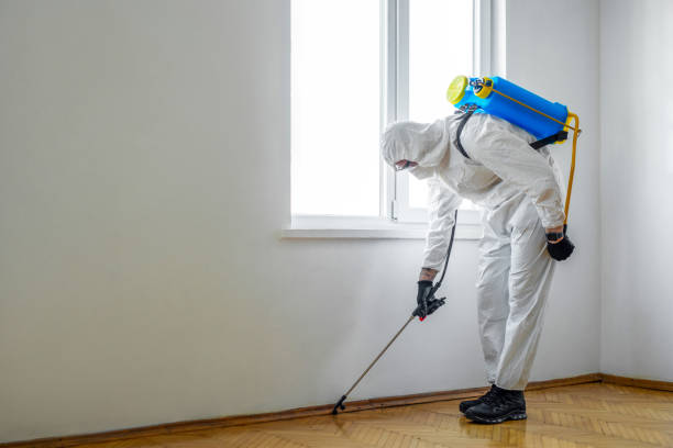 Best Residential Pest Control  in Wenonah, NJ
