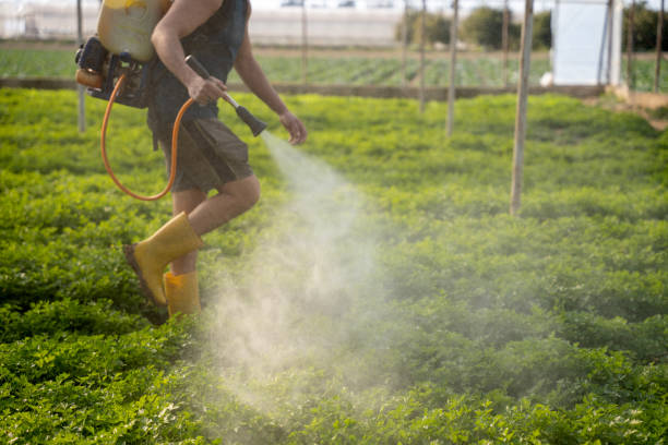 Best Ant Control Services  in Wenonah, NJ