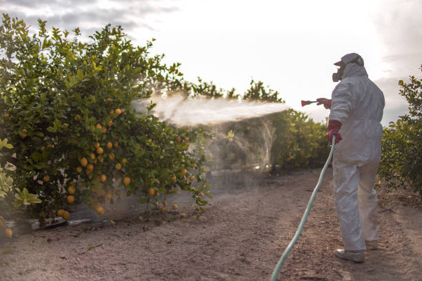 Best Rat Extermination Near Me  in Wenonah, NJ