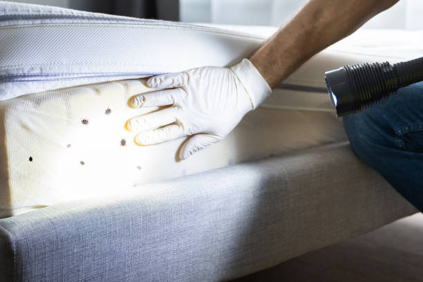 Best Insect Control  in Wenonah, NJ