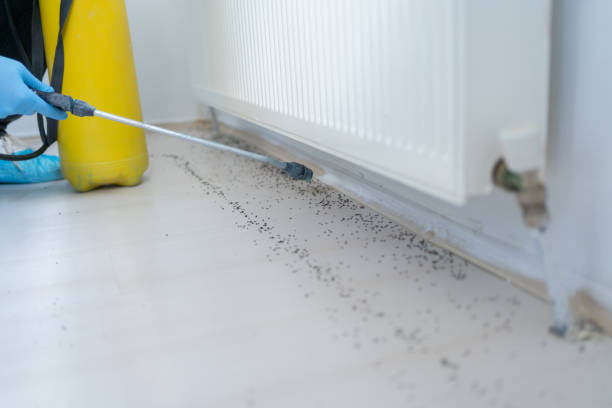 Best Local Pest Control Services  in Wenonah, NJ